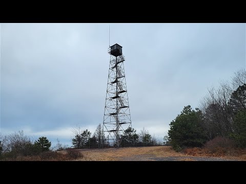 Deep Woods Drive and Hike!