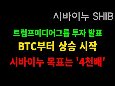 시바이누 목표는 4천배입니다. 트럼프 발표 직후 상승장 개막
