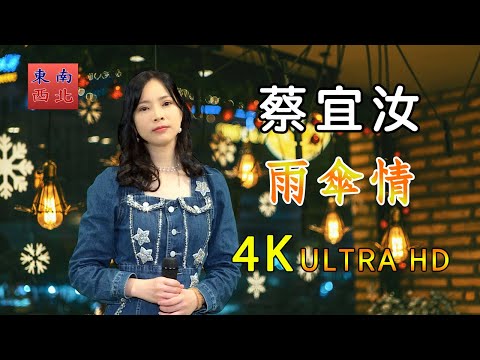 4K台語歌曲 蔡宜汝 演唱 雨傘情