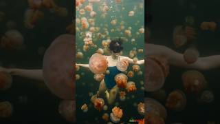 Most Beautiful Places in Palau #shorts #nomad #travel #nature #palau