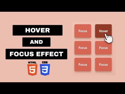 Learn CSS Hover and Focus Effects | CSS Tutorial