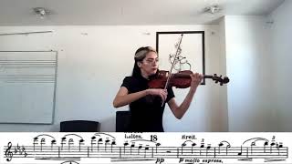Orquesta Sinfónica Universidad Mayor. Paula barrera - violin