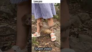 banra videos #shortfunny #funnyviral #viralvideo
