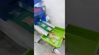 Cookies Packing Machine Demo | High Speed Flow Wrap Machine"