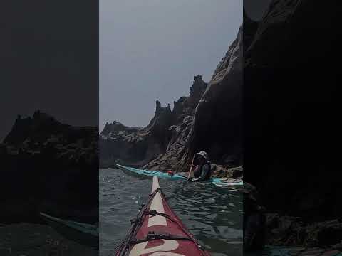 跟著領隊就對了；follow the leader to the letter