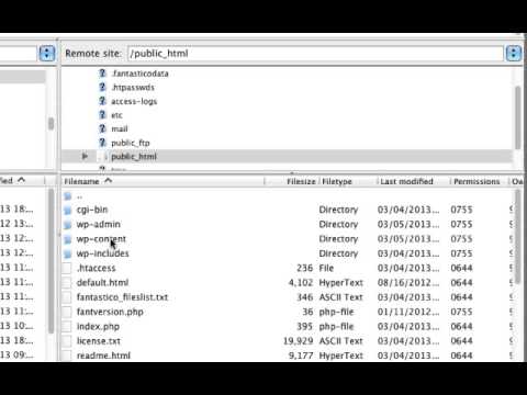 Install a Custom WordPress Theme Via FTP