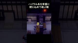 ハイラル兵閉じ込めて遊ぶゼルダ【ゼルダの伝説 知恵のかりもの】