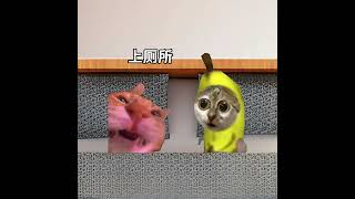偷偷拉不住#有趣 #猫meme #猫meme剧场 #猫meme小剧场 #内容过于真实  #故事 #貓 #猫猫meme小剧场 #喵不可言