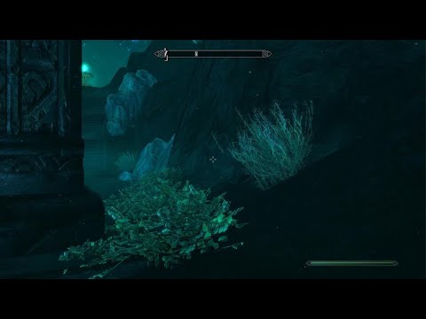 Skyrim_20241201005040