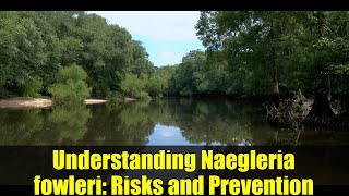 Understanding Naegleria fowleri: Risks and Prevention