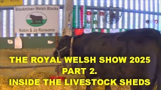 THE ROYAL WELSH SHOW 2025 PART 2.MEET THE ANIMALS