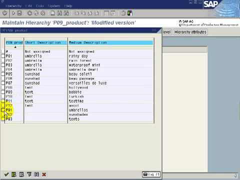 SAP BW Tutorial _ Create Hierarchy PR