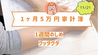 にゃこの家計簿 11/21 NMD 1週間の締め報告です！