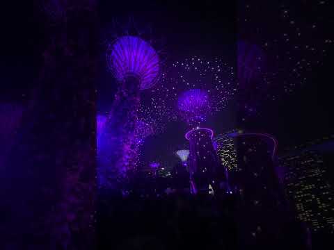 Luminous Dreams: Gardens by the Bay After Dark