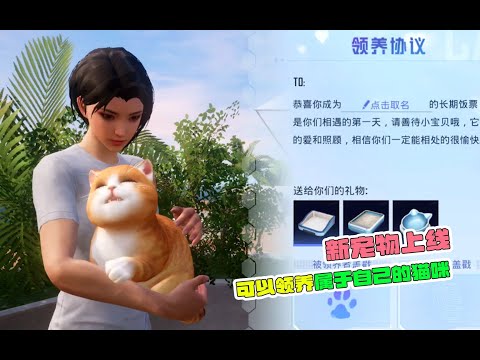 新宠物上线，可以收养属于自己的猫咪！