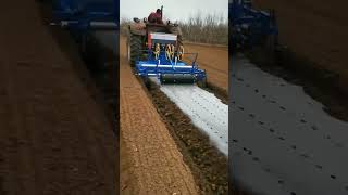 Mulching machine 👌#trending #shorts #viralvideo