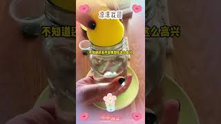 凉凉找回 #小说 #一口气看完 #完结文