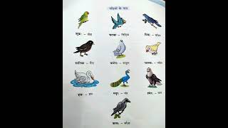 #sanskrit#birds in sanskrit