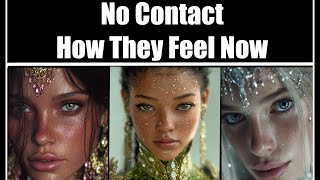 No Contact, How Do They Feel Now 🦋🔮Pick A Card Timeless Psychic Reading