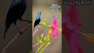 பறவையின் பெயர் தெரிந்தவர்கள் கமெண்ட் செய்யுங்கள்#trending #tnscert #தமிழ் #tamil #love #lovestory