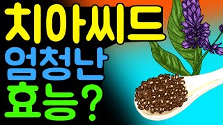 The effect of chia seeds! [English subtitles]