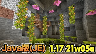 【マイクラ】1.17 洞窟と崖のアップデート！グローベリーとドリップリーフが新たに追加！｜Snapshot 21w05a（Java版）