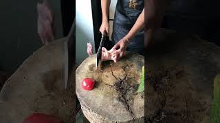#Home kitchen knife#Multi-function knife#Must-have kitchen knifeSay something#shortsviral #shorts