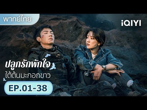 【รวมซีนสุดฟิน】|🤍ปลูกรักพักใจ ใต้ต้นมะกอกขาว (The White Olive Tree)|iQIYI พากย์ไทยสุดฟิน