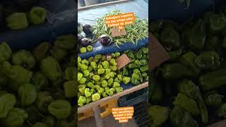 Patlıcan Gözüyle Enflasyon! Bugün Pazar Filesi Ne Kadar?Pazarda Fiyatlar#enflasyon #pazar #fiyatları