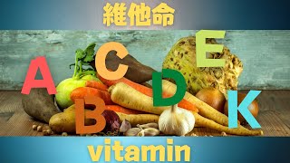 【基礎 營養】維他命 ! Vitamins !