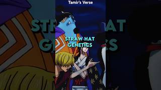 The Straw Hats Insane GENETICS Is Mind Boggling #anime #onepiece #luffy #shorts