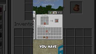 How to make a BUNDLE in Minecraft NEW 1.21.3 (Tutorial) #minecrafttutorial #minecraft