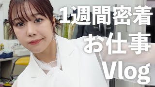 【密着】１週間のお仕事Vlog撮ったら仕事女すぎた💻