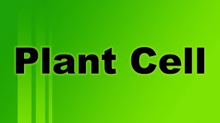 Plant Cell Definition