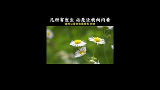 凡所有发生 必是让我向内看#修心 #修行 #修心养性禅悟人生