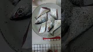 Mixing salt and black pepper my fish for cooking| Nhitz TV| #shorts #asmr #satisfying #amazing