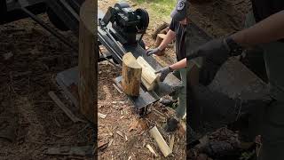 Wood Splitter vs Massive Logs #wood #woodworking #firewood #woodscraft