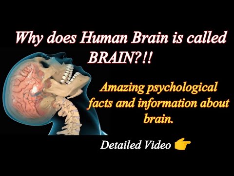 HUMAN BRAIN/AMAZING BRAIN FACTS AND INFORMATION'S IN TAMIL/DETAILED VIDEO