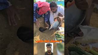 പുതിയ മീൻ പിടുത്തം #mallutraveler#fishingfreaks#shortsX#mallu#malayalam#m4tech