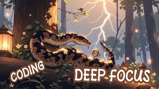 The Dev’s Mindset | Deep Focus Music | No Interruptions ✨
