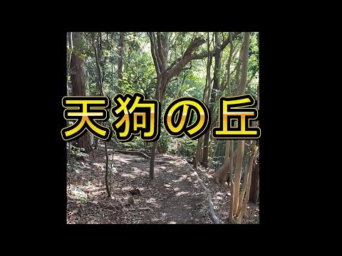 天狗が居た事で地元で知られている🌼神社の中の森#天狗＃神社＃多賀神社＃スピちゅーる