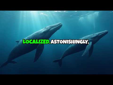 Unveiling the Mysteries of Sperm Whale Communication