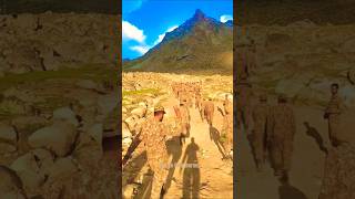Pak Army Zindabad Pakistan Paindabad🇵🇰♥️.          #shorts #pakarmy #pakistanarmy #pakistan #pma