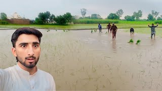 Alert 🚨 Tufani Barish se Faslen doob Gai 😨Harvest Heavy Rain and thunderstorm | Hamza sidhu