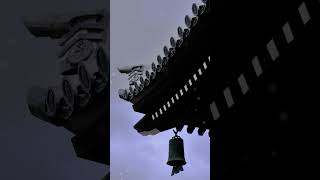 京都「南禪寺」是臨濟宗南禪寺派的總寺，為日本禪宗最高寺院，列於京都五山及鐮倉五山之上。｜雲遊客JTourist #shortsvideo @yunyouke