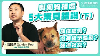 放任搶繩？強迫狗狗Social？與狗狗相處🐶五大主人常見錯誤｜犬隻訓練師教你正確方法！（下）｜MDF