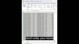 Why my Pivot Table does not work?