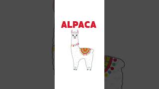 Alphabet Show #123numbers #abcdsong #abcdsongs #alphabet #colors #abc쓰기 #atoz #counting