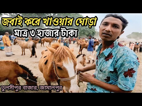 মাত্র ৩ হাজার টাকায় ঘোড়া | জবাই করে খাওয়ার ঘোড়ার হাট | তুলসীপুর বাজার, জামালপুর #ঘোড়া #ghora