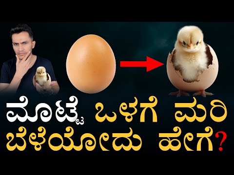 ಹೊಕ್ಕುಳ ಬಳ್ಳಿನು ಇರಲ್ಲ! ಉಸಿರಾಡೋದು ಹೇಗೆ? | How life forms inside Egg? | Masth Magaa | Amar